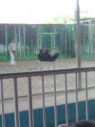 长沙世界之窗_http_imgloadCA5MO5Q8