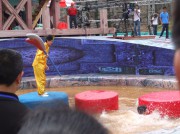 长沙世界之窗_http_imgloadCAM7N9AG