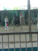 长沙世界之窗_http_imgloadCATG221I