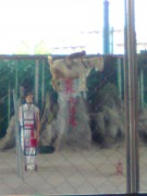 长沙世界之窗_vgvbgbhy