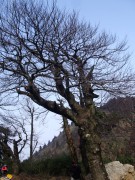 高中毕业_DSCF4782