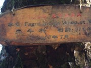 高中毕业_DSCF4784