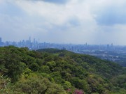 广州_IMG_20210412_132722