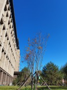 哈尔滨2023_IMG_20231016_101956