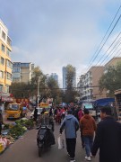 哈尔滨2023_IMG_20231020_071727