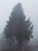 张家界2023_IMG_20230920_133940