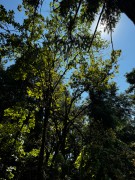 张家界2024_IMG_3852