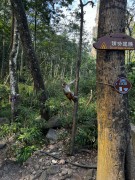 张家界2024_IMG_3935