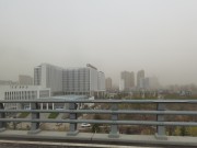 陕西_IMG_20210320_081218