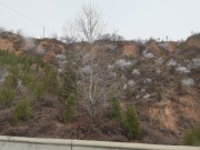 陕西_IMG_20210320_110147