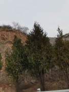 陕西_IMG_20210320_110309