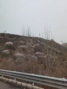 陕西_IMG_20210320_110503