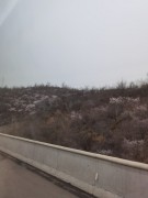 陕西_IMG_20210320_110520