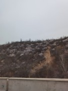 陕西_IMG_20210320_110524