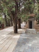 陕西_IMG_20210320_152434