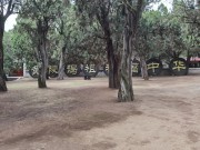 陕西_IMG_20210320_152931