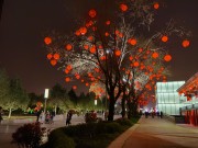 陕西_IMG_20210320_225621