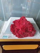 陕西_IMG_20210321_101647