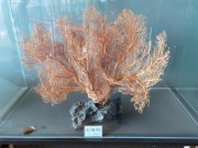 陕西_IMG_20210321_101703