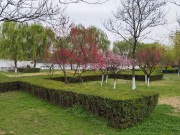 陕西_IMG_20210321_141104